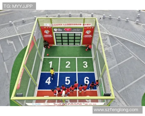 足球董育：探索青少年足球发展的新路径与未来愿景