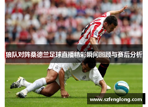 狼队对阵桑德兰足球直播精彩瞬间回顾与赛后分析