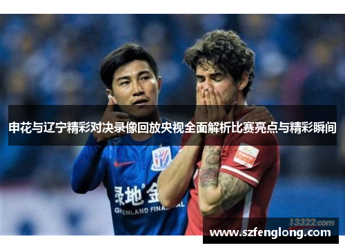 申花与辽宁精彩对决录像回放央视全面解析比赛亮点与精彩瞬间